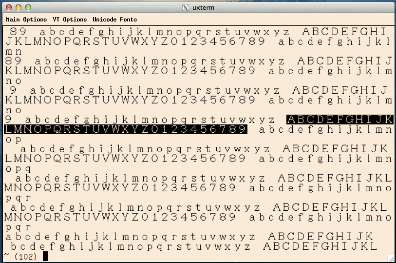 XTerm terminal